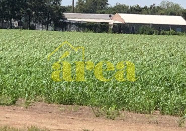 Campo 2;9956 Has. (29.956m2) En Bell Ville-Cordoba